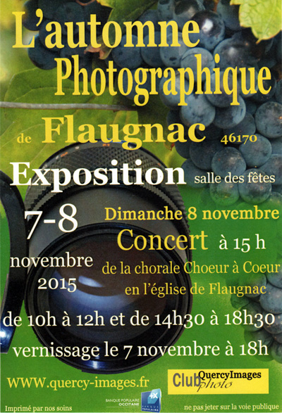 Affiche expo QI
