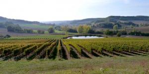 Les Vignes Flaugnac